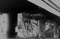 Demolishing Petaluma bridge 1.25.14