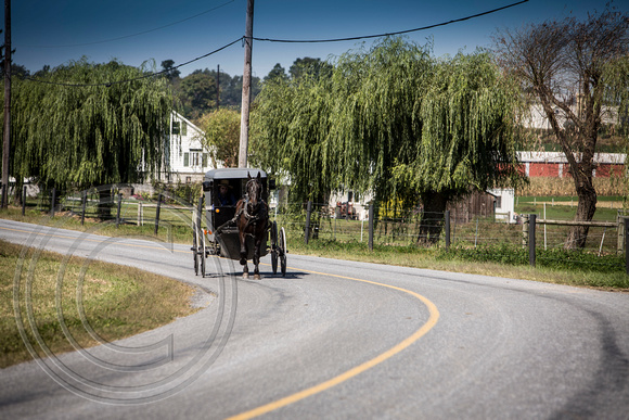 Amish,Lancaster,Pennsylvania.9.27.14 5D 137_2