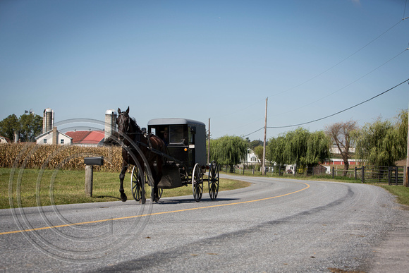 Amish,Lancaster,Pennsylvania.9.27.14 5D 140_1