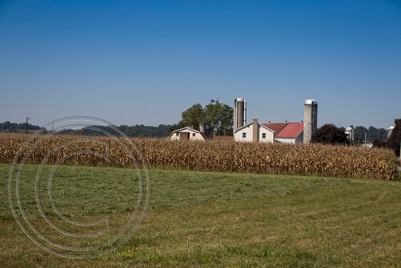 Amish,Lancaster,Pennsylvania.9.27.14 5D 122_1
